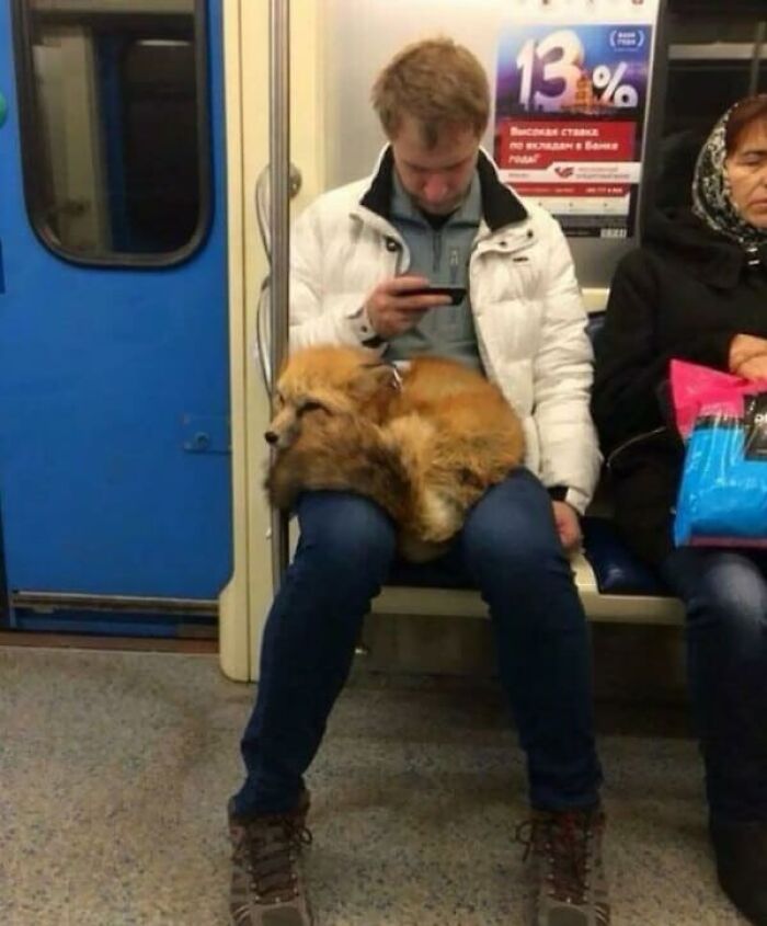 44 Times People Spotted Such Weird And Funny Things On The Subway, They Just Had To Share