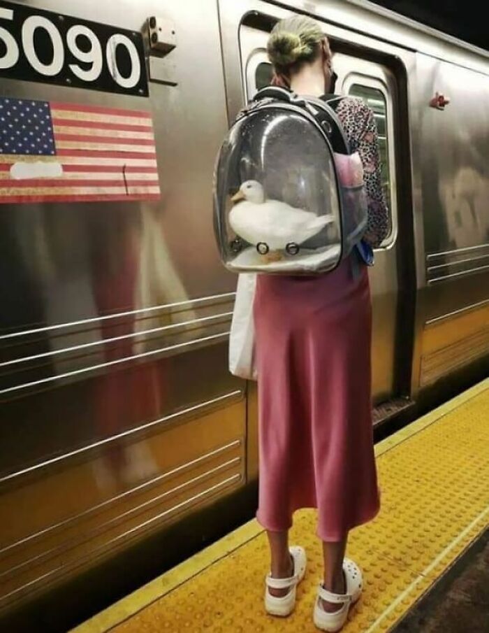 44 Times People Spotted Such Weird And Funny Things On The Subway, They Just Had To Share