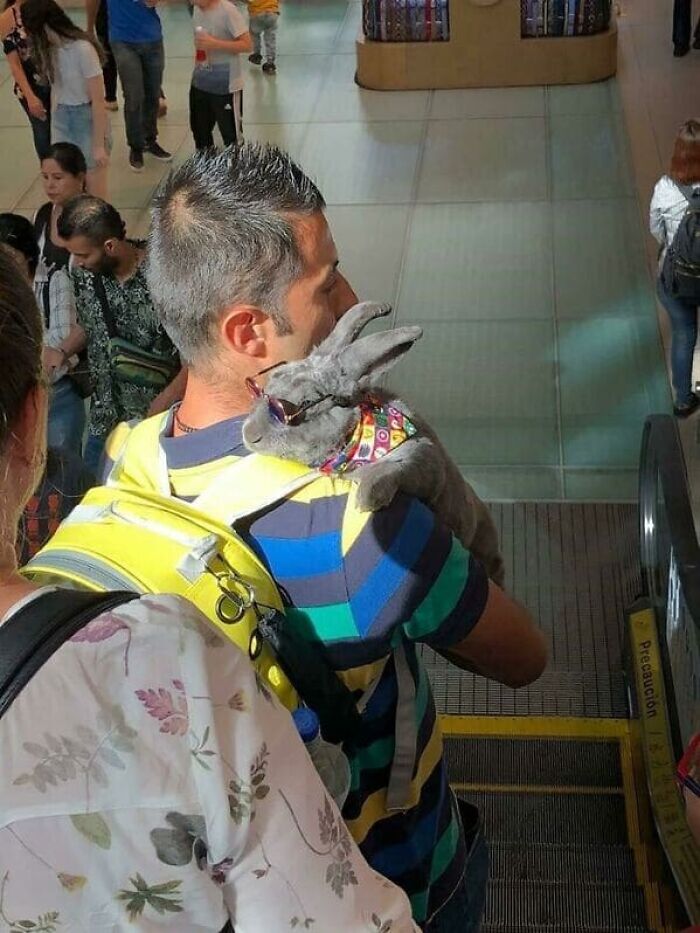 44 Times People Spotted Such Weird And Funny Things On The Subway, They Just Had To Share