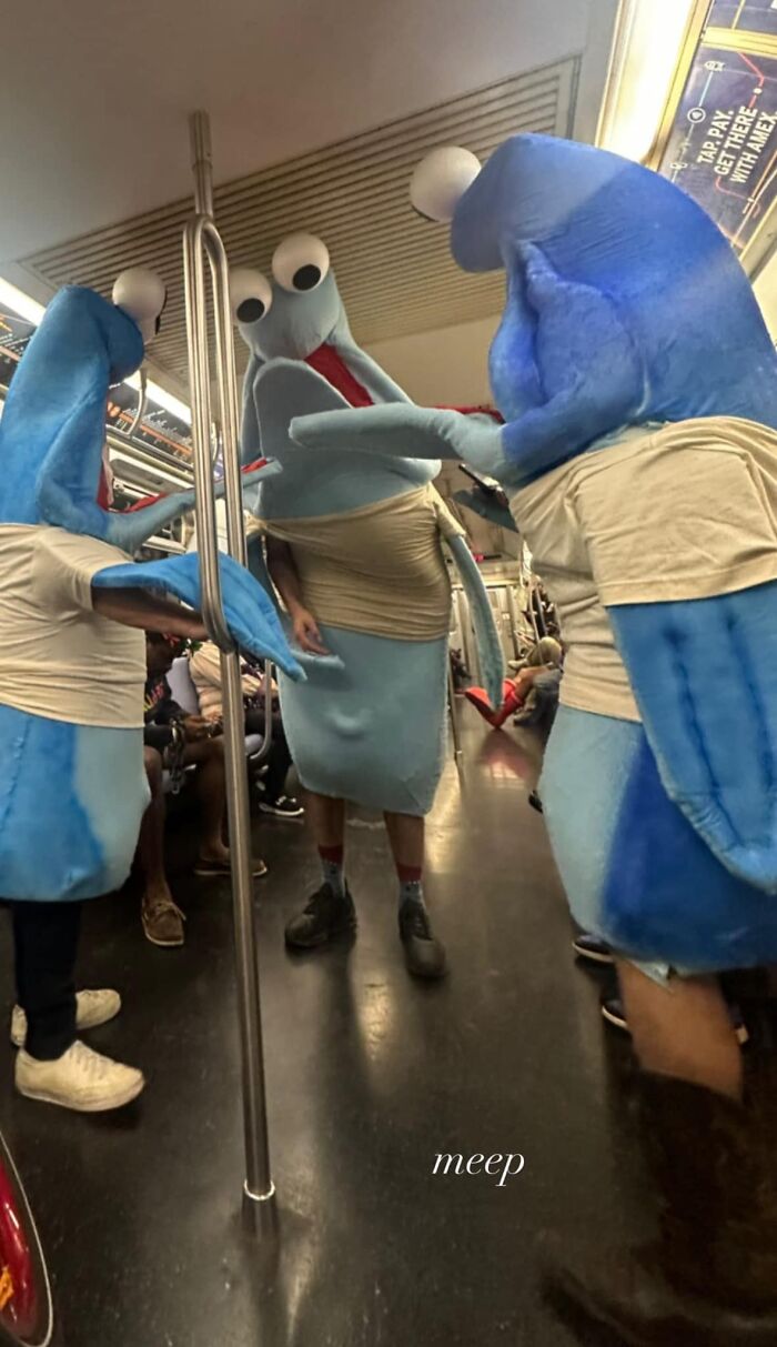 44 Times People Spotted Such Weird And Funny Things On The Subway, They Just Had To Share