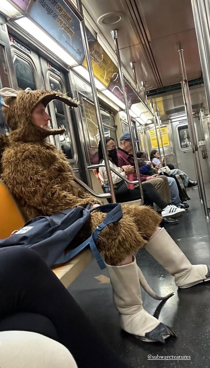 44 Times People Spotted Such Weird And Funny Things On The Subway, They Just Had To Share