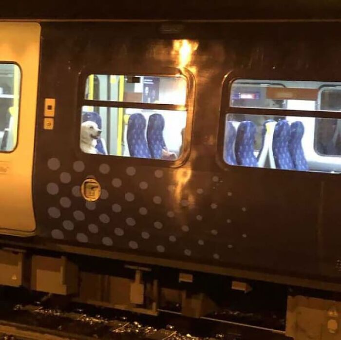 44 Times People Spotted Such Weird And Funny Things On The Subway, They Just Had To Share