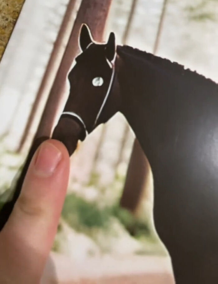 Esta mujer se compró un calendario con fotos de caballos, pero resultó ser demasiado extraño