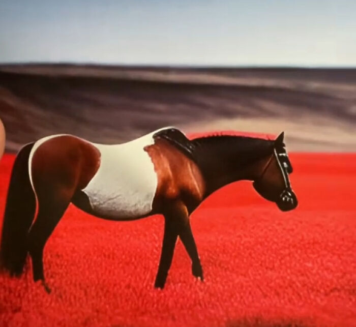 Esta mujer se compró un calendario con fotos de caballos, pero resultó ser demasiado extraño