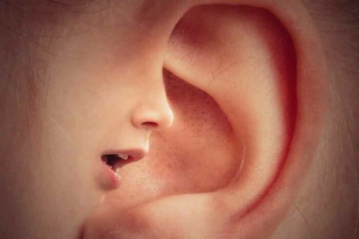 «Hoy aprendí»: 21 Datos nuevos y fascinantes para saciar tu sed de conocimiento