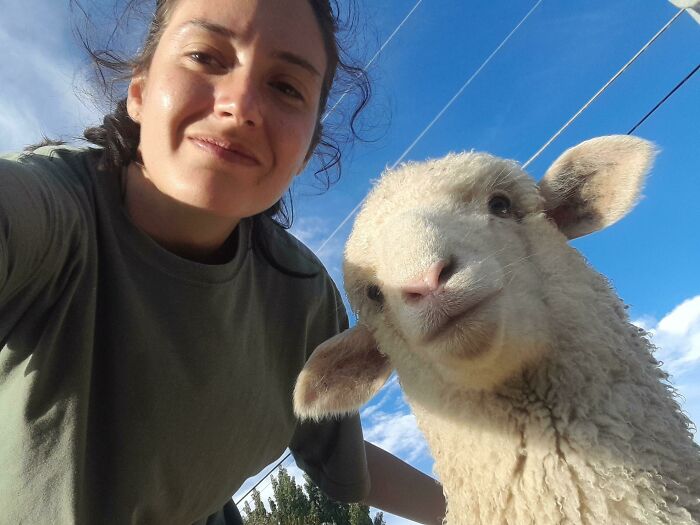 Mujer sonriente tomando selfie con oveja, imagen divertida y absurda de animales bajo un cielo azul.