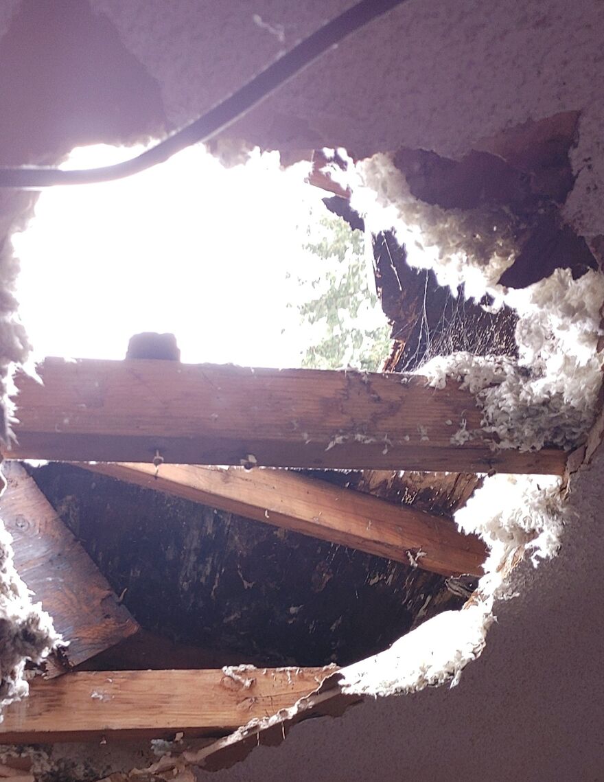 Hoy he conocido al tipo que estaba arreglando el tejado de mi apartamento porque se ha caido dentro