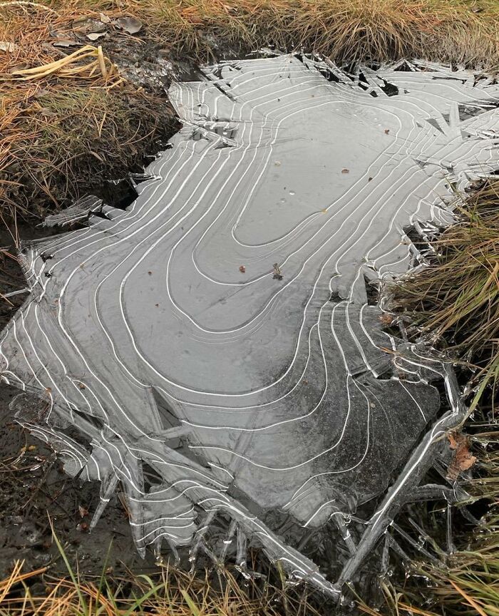 Charco helado que parece un mapa topográfico