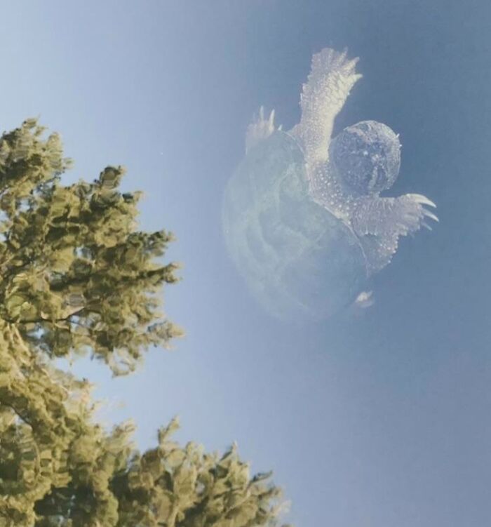 Tortuga del tamaño de la luna orbitando la tierra... o una tortuga normal en un lago cristalino