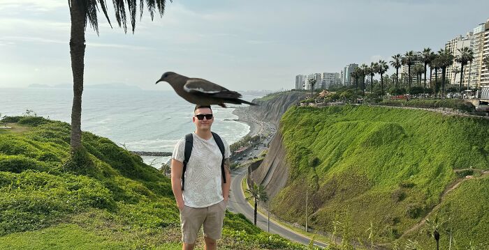 Este pájaro pasó volando mientras hacían la foto, y ahora parece que un pájaro enorme se posó en mi cabeza