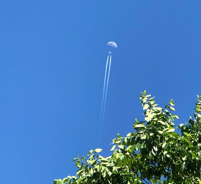 Parece que vuelan hacia la luna