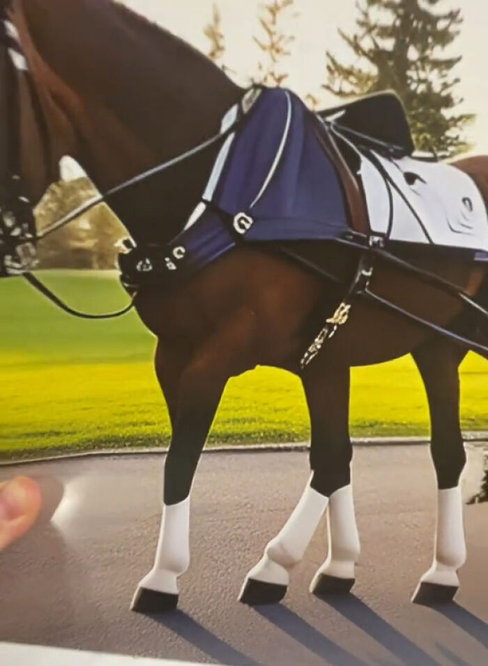 Esta mujer se compró un calendario con fotos de caballos, pero resultó ser demasiado extraño