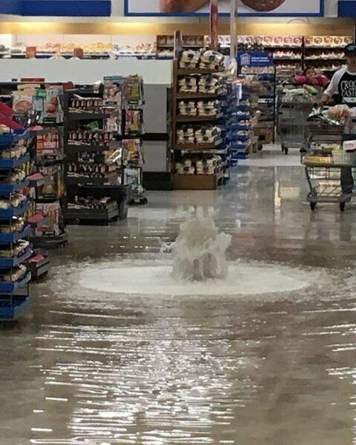 50 Times “Idiots At Work” Showed Just How Stupid Humans Can Be