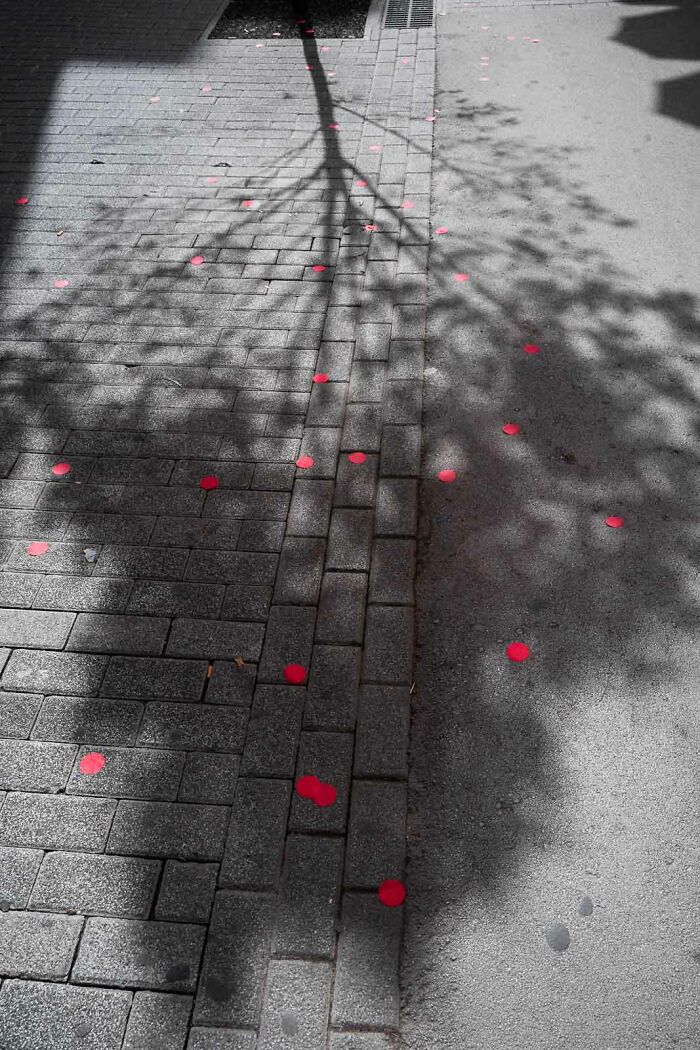 30 Best Fun Accidents Captured On Streets By This Photographer (New Pics)