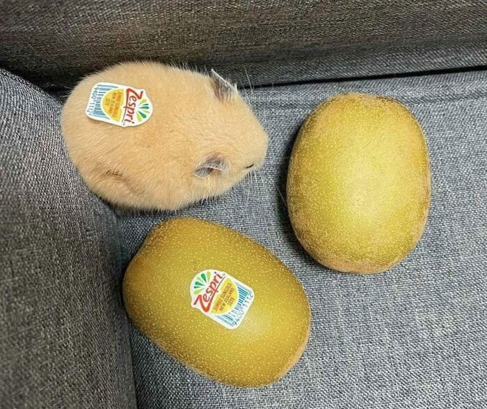 No veo la diferencia