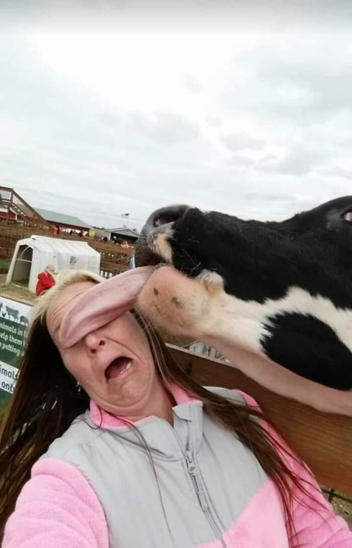 37 Bizarre Human Moments, As Shared On “Humans Doing Human Things” (New Pics)