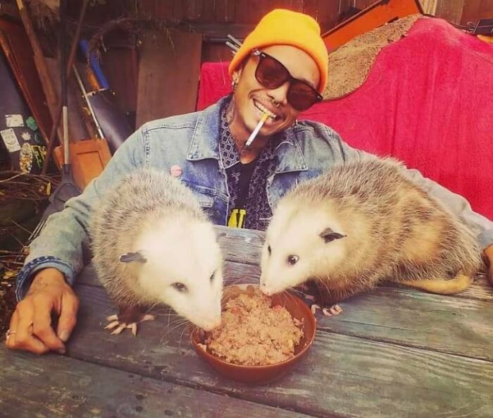 37 Bizarre Human Moments, As Shared On “Humans Doing Human Things” (New Pics)