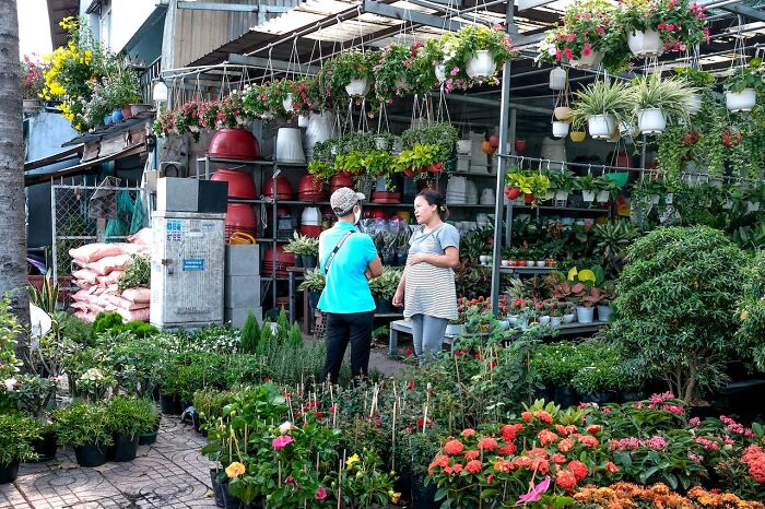20 Personas comparten detalles que ocurren cuando vives en un pueblo pequeño