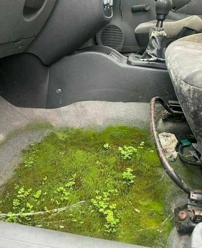 “Some Images” That Need No Context Whatsoever To Be Hilarious, As Seen On This FB Page