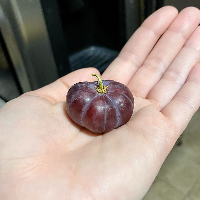 Uva que parece una calabaza