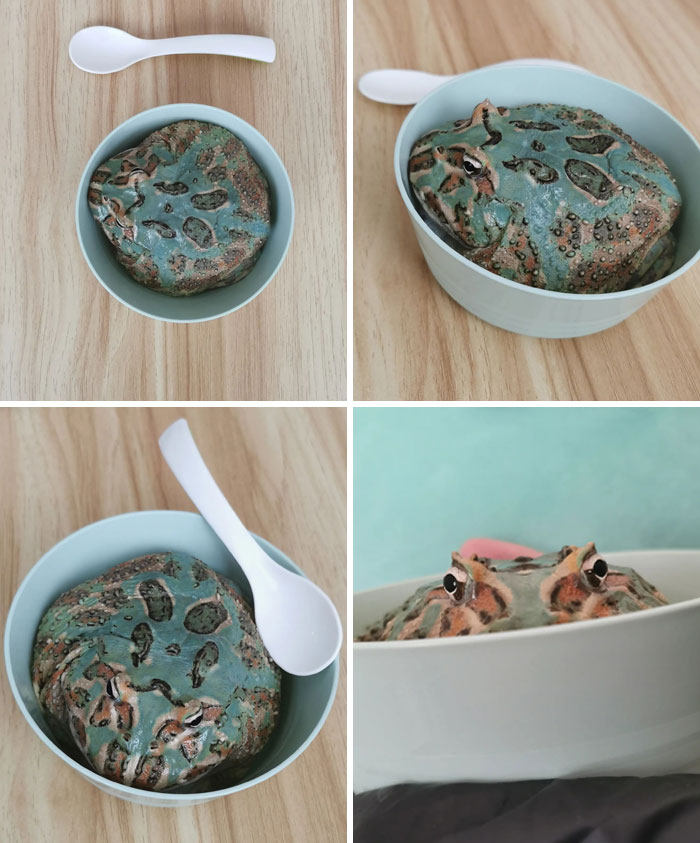 Helado de menta con trocitos de chocolate