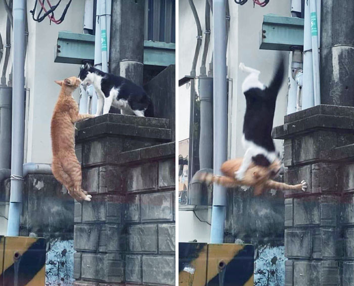 Amor verdadero