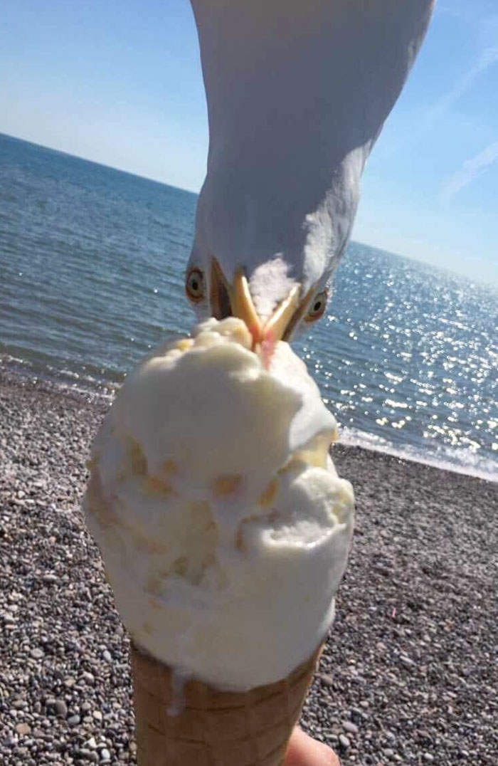 Foto en la playa