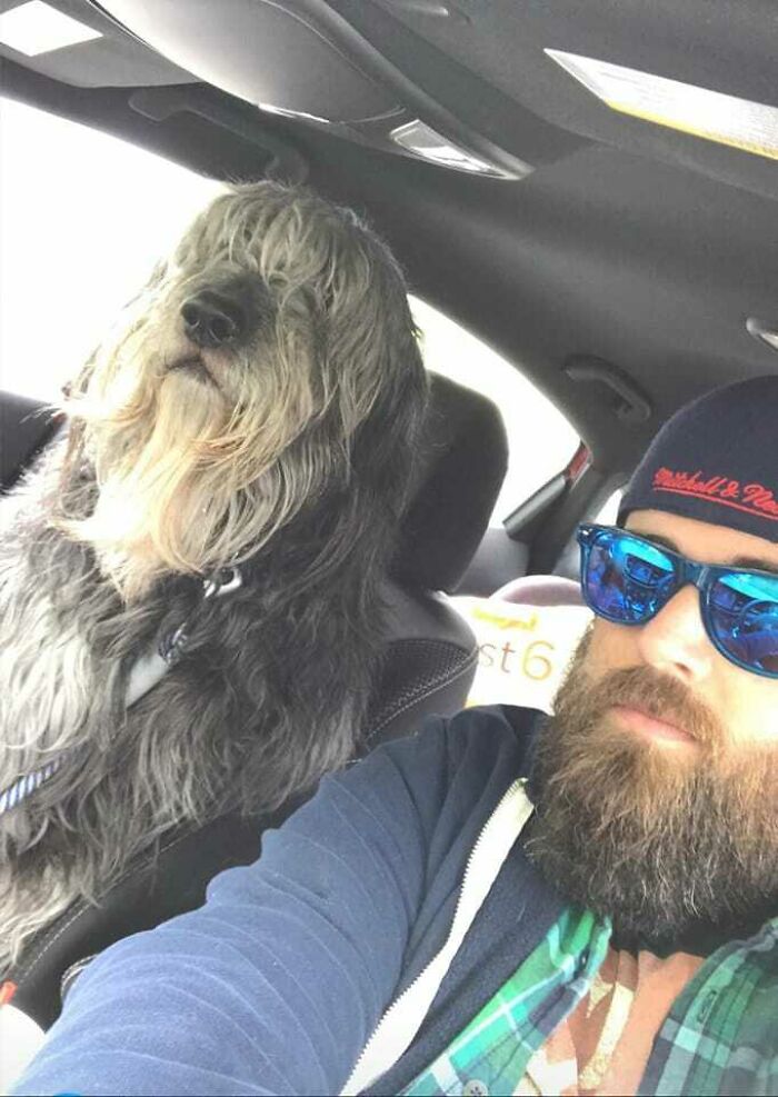 Este es Ben. Tiene barba y el tamaño de un humano. Nos miran raro en el tráfico