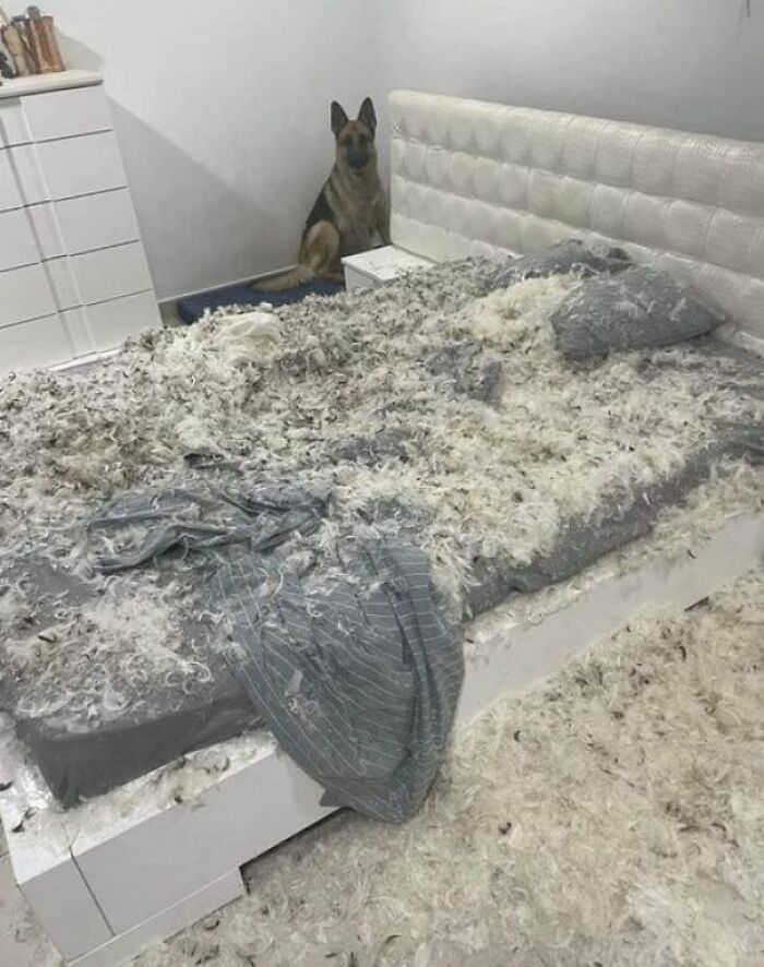 La cama ha explotado sola
