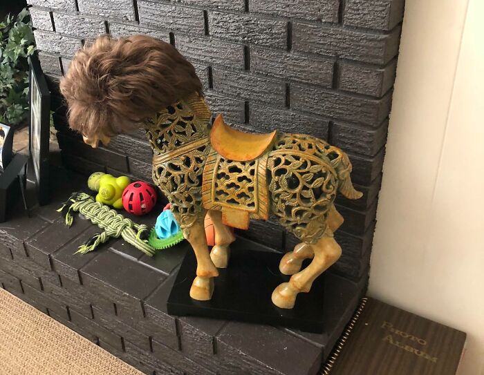 Mi abuela lleva peluca. Cuando llega a casa, se la quita y se la pone a este caballo