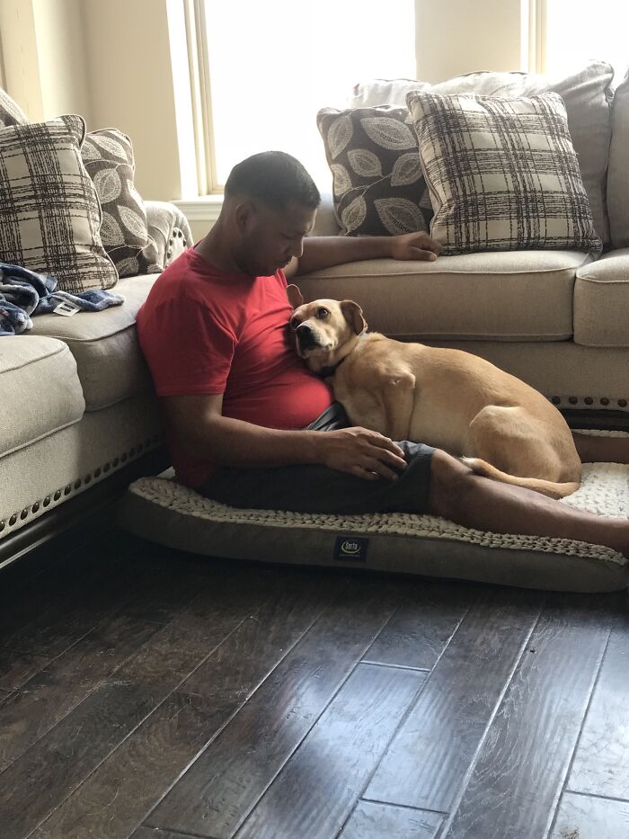 El amor de un perro rescatado