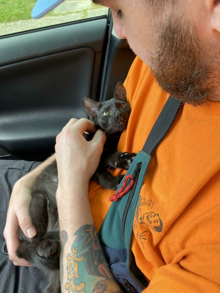 He adoptado a este pequeño para que nuestras vidas sean mejores
