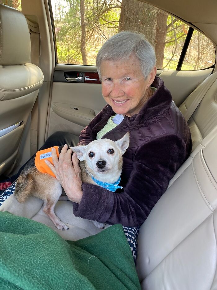 Mi abuela de 87 años con su perro abuelo de 14 años recién adoptado