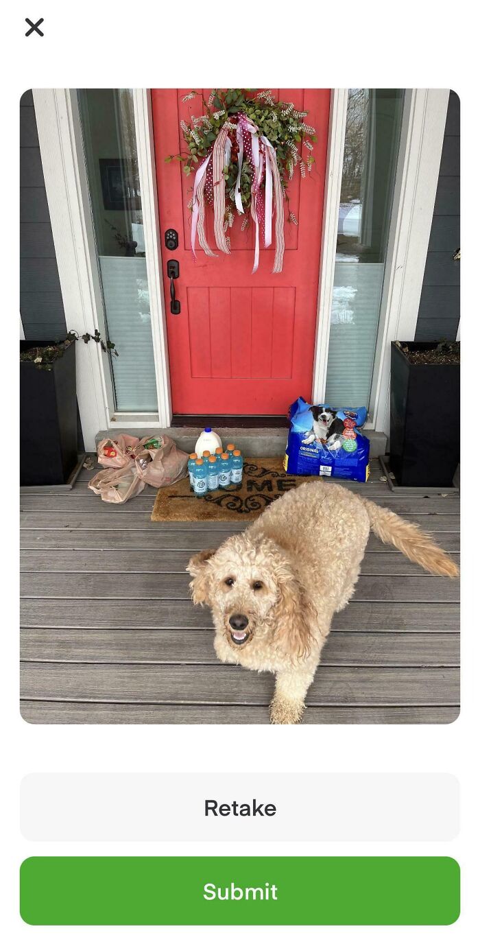 Este perro no me dejaba colocar el pedido