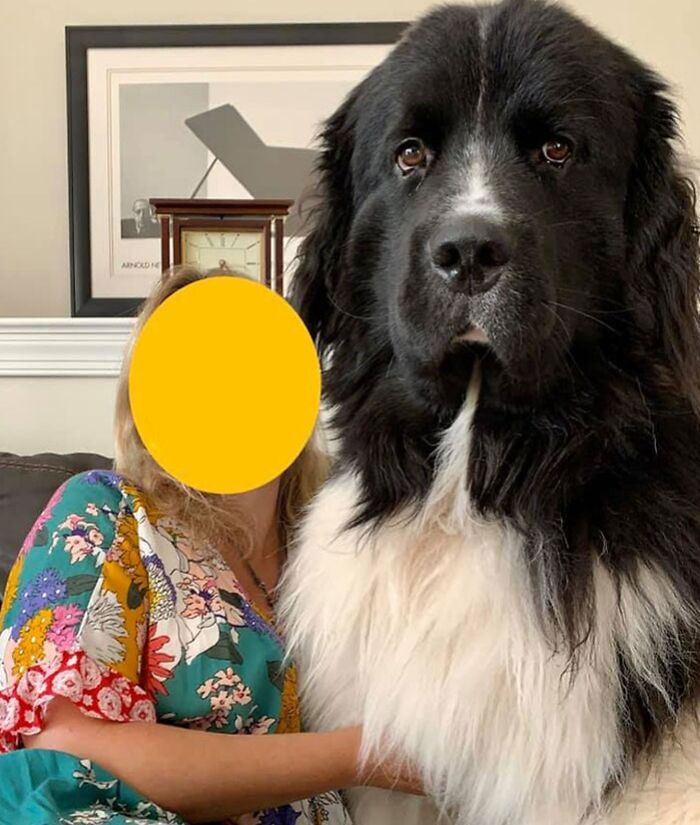 Solo tiene 1 año