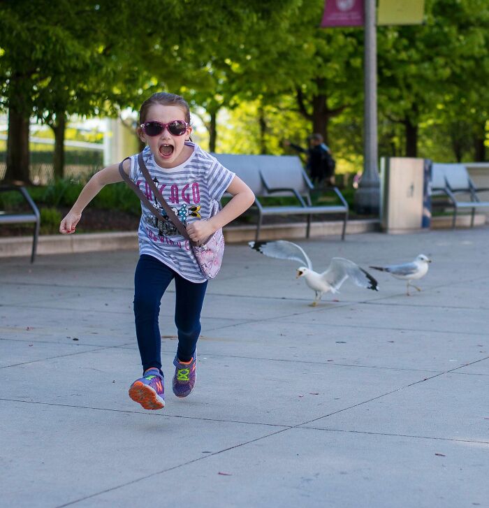 A mi sobrina le gusta perseguir gaviotas. A las gaviotas de ciudad les gusta perseguirla a ella
