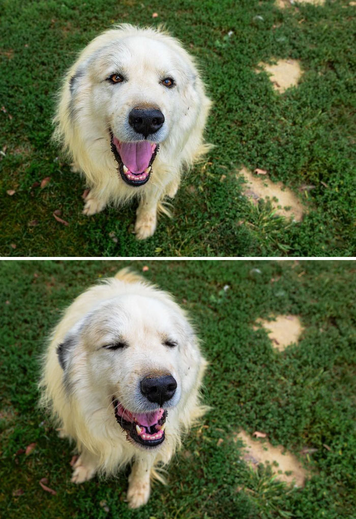 Antes y después de decir 