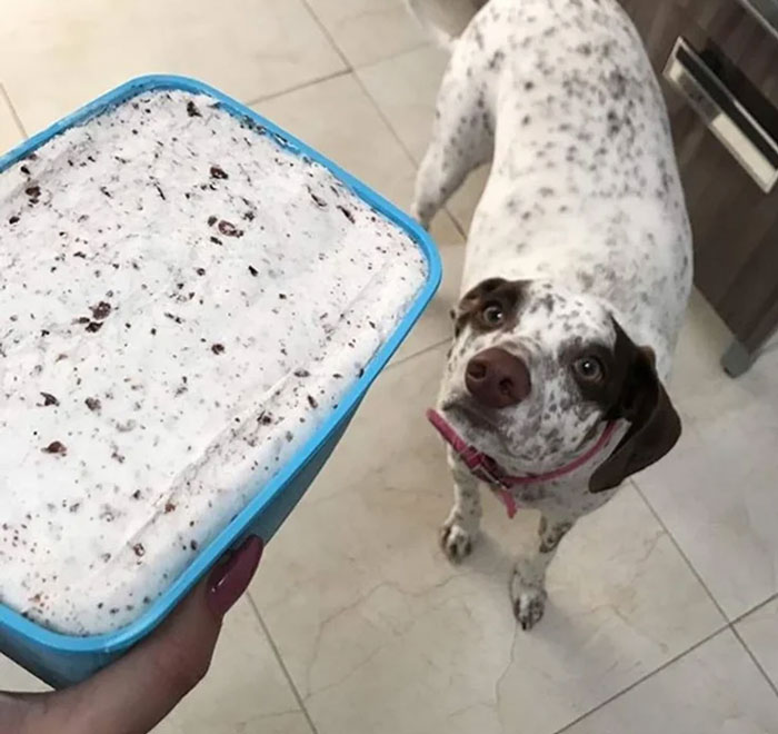 Nata con trocitos de galleta, el mejor helado