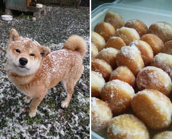 Encuentra la diferencia