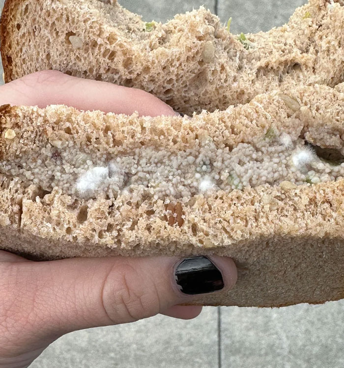 Me he comido parte de esto hoy, no vi hasta ahora que tenía moho