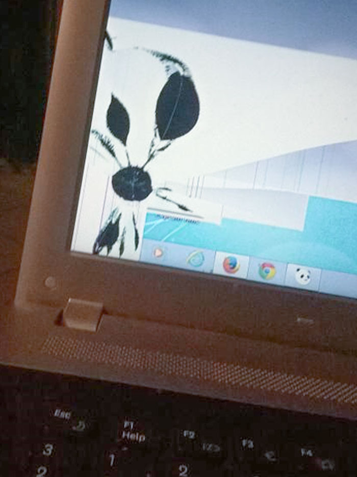 Mi padre me dijo que creía que tenía un virus en el ordenador, porque salía como una flor en la pantalla. Hoy me ha mandado foto