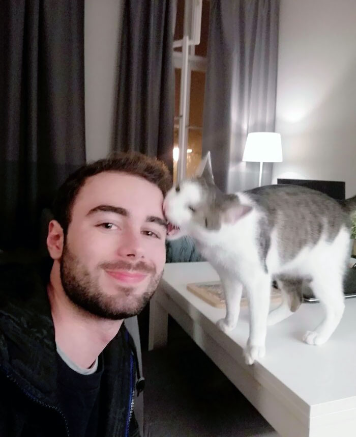 Mi gato no quería selfies