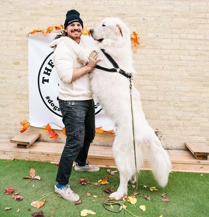 Este es Bon Homme