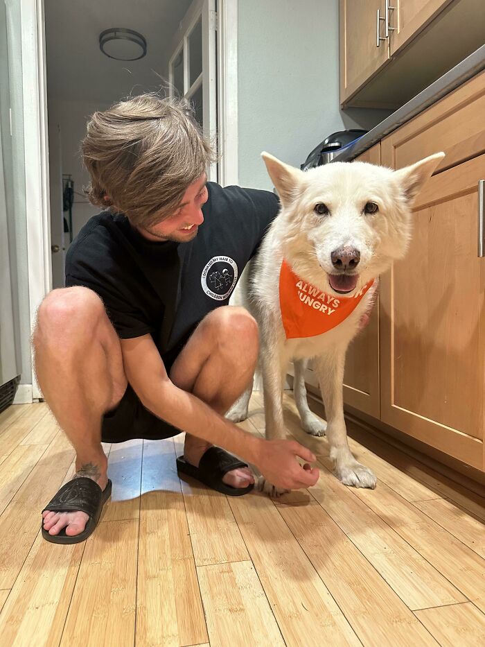 Hombre alegre jugando con perrete blanco con bandana naranja en cocina de madera mostrando momentos puros y tiernos.