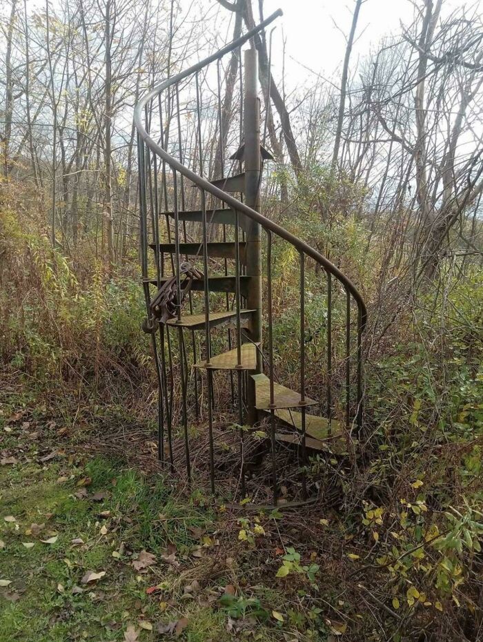 Escalera a ninguna parte en mitad del bosque