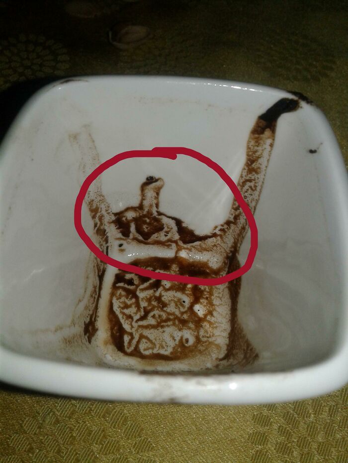Estábamos leyendo los posos del café y yo veo un lagarto con traje de supermán... ¿lo veis?