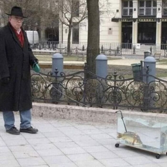 50 Cursed Images That Get Weirder The More You Scroll, As Shared On This Instagram Account
