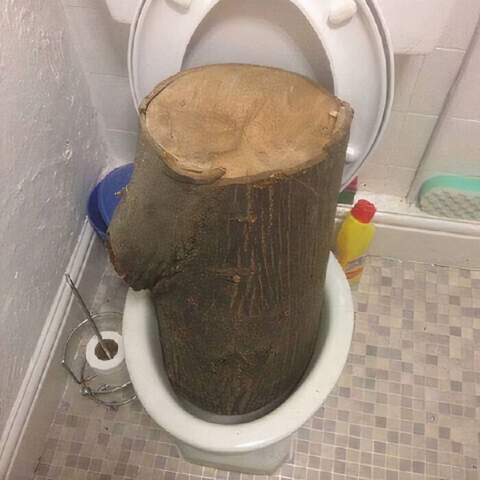 50 Cursed Images That Get Weirder The More You Scroll, As Shared On This Instagram Account