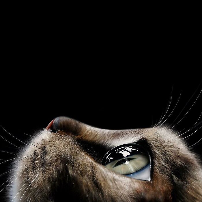 Pintado en mi iPad