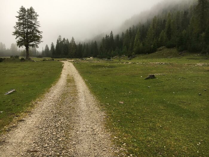 Prado con niebla en los alpes austriacos